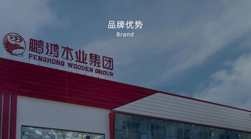 板材品牌、全屋定制品牌、生態(tài)板十大品牌
